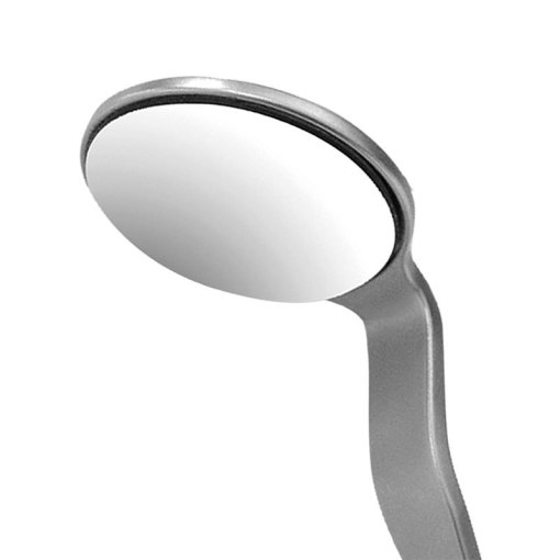 Mouth Mirror & Handles #18